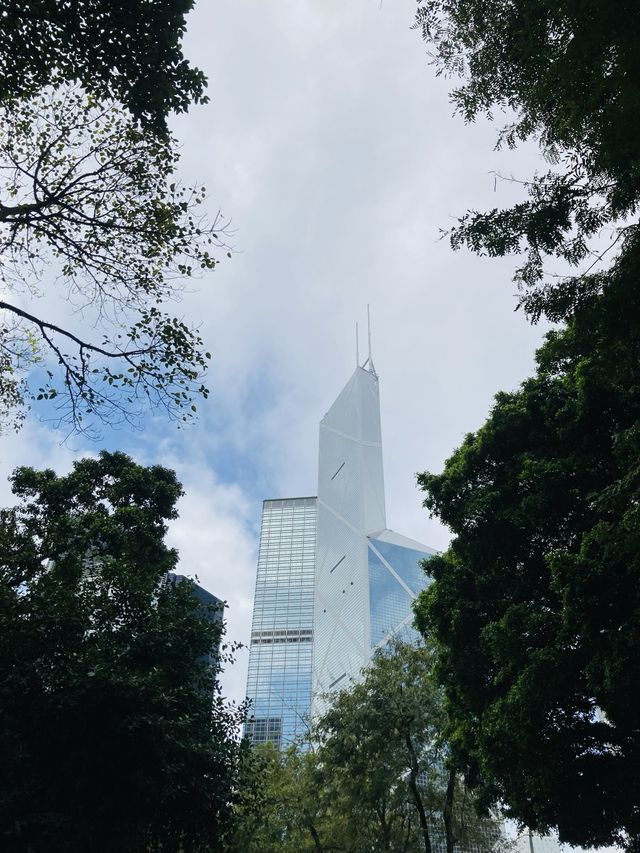 【市區散步好去處】香港公園｜欣賞小龜曬太陽。穿過大瀑布。登上鳥瞰角觀景台｜2小時散步路線