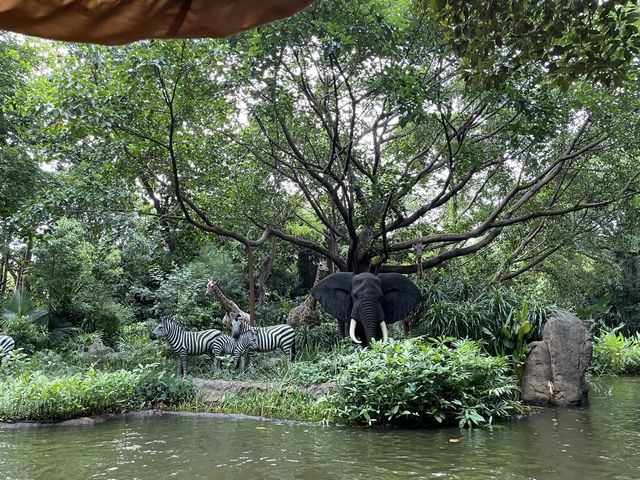 迪士尼森林河流之旅