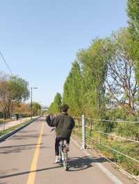 따릉이 타고 한강 라이딩 어때요🚲
