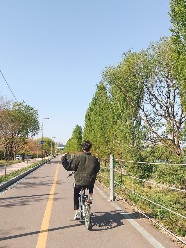 따릉이 타고 한강 라이딩 어때요🚲