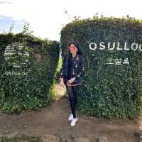 มาเที่ยวไร่ชา O'sulloc กัน 🌱🌱🌱