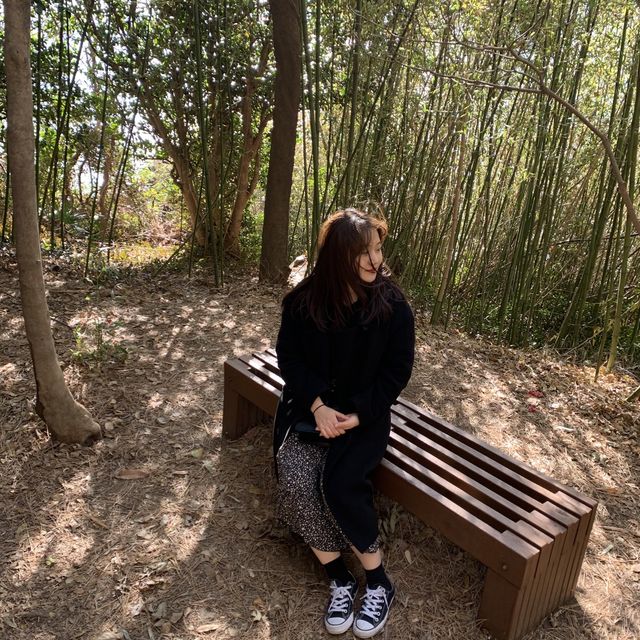 오동오동 떨며 구경했던 오동도🌺
