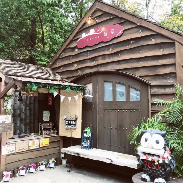 【静岡県・浜松市】ぬむもりの森　フクロウcafe🦉