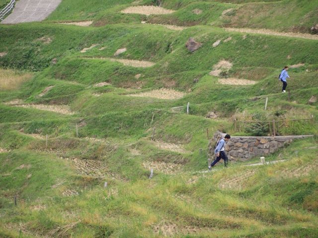 【輪島】日本一の棚田！白米千枚田をご紹介