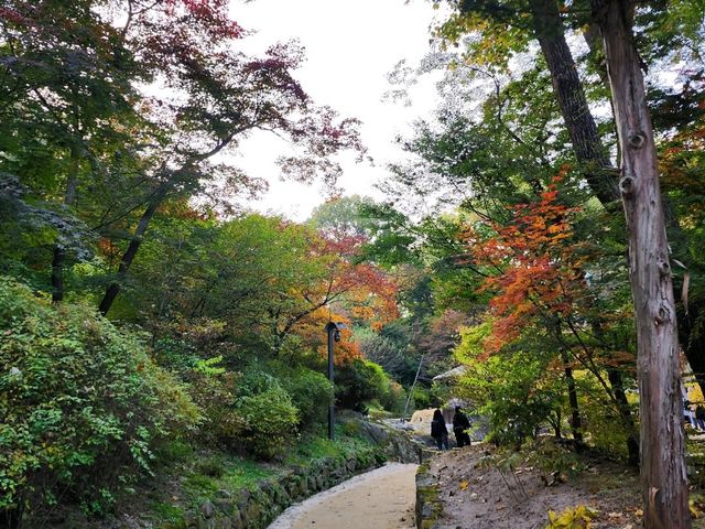 Beautiful Secret Garden