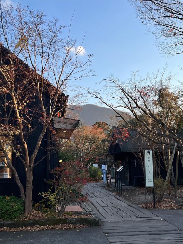 【大分カフェ】金鱗湖の紅葉が素敵な絶景カフェ☺️