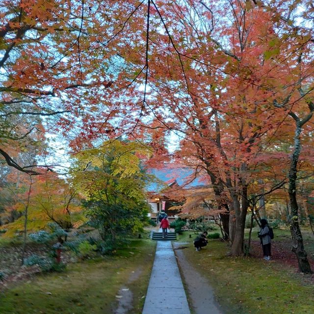 岩手県！中尊寺金色堂の旧覆堂と紅葉