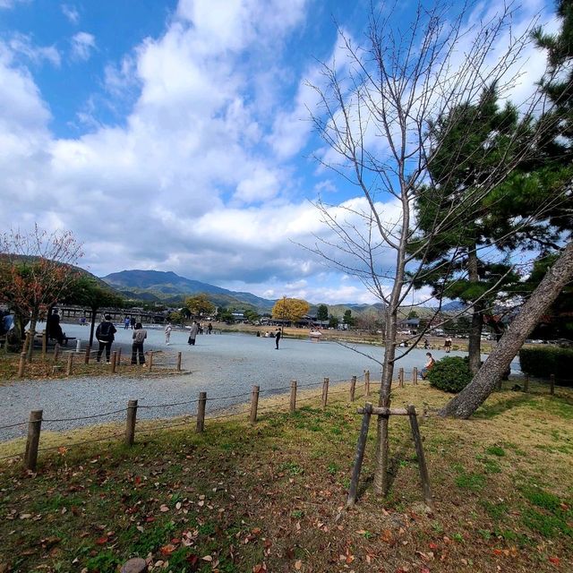 自然がダイレクトに感じられる公園【嵐山公園】✨