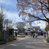 栗子之鄉 小布施町