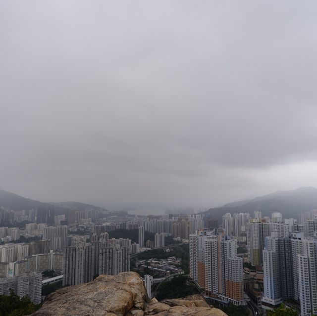曾大屋與蝌蚪坪