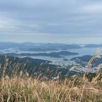 芒草季節🌿東洋山