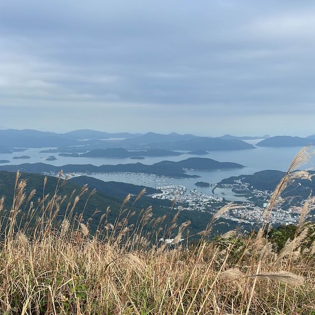 芒草季節🌿東洋山 芒草季節🌿東洋山
