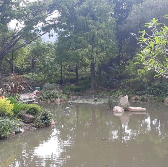 沙田中央公園