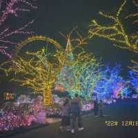 🎄✨イルミデートの大定番【よみうりランド】☃️