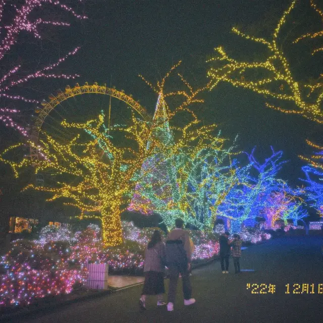 🎄✨イルミデートの大定番【よみうりランド】☃️