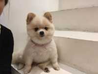 เล่นกับก๊องและผองเพิ่อน Little Zoo Cafe