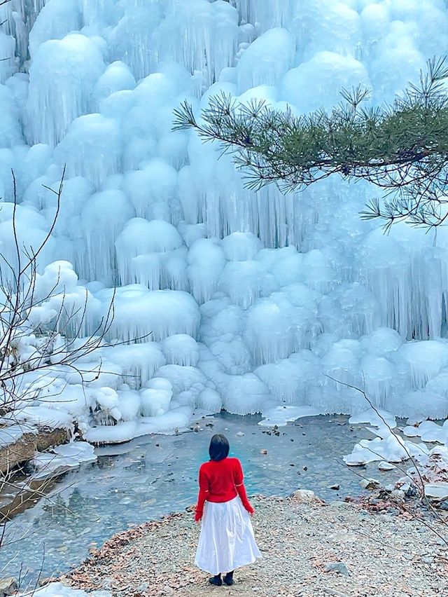 대구판 겨울왕국 ❄️👑