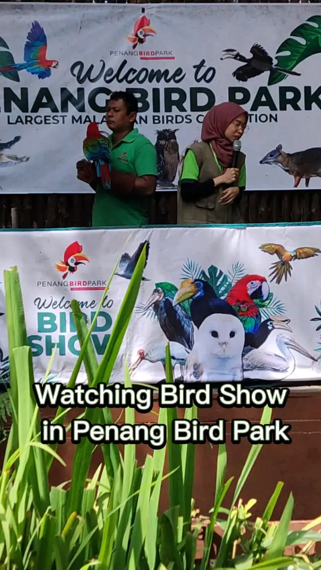 Interesting Bird Show in Penang Bird Park