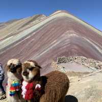 Rainbow on a Mountain? 🌈🏔️ Vinicunca!