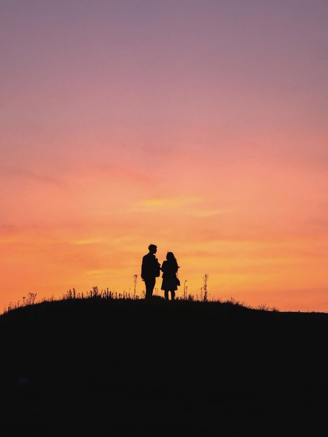 🌹라비앙로즈 노을명소 ; 청주 정북동 토성 나홀로 나무  
