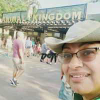 Magic Kingdom, Epcot, Animal Kingdom