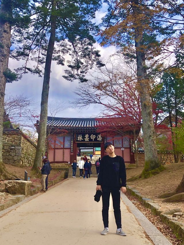 소원이 이루어지는 합천 해인사 🙏🏻