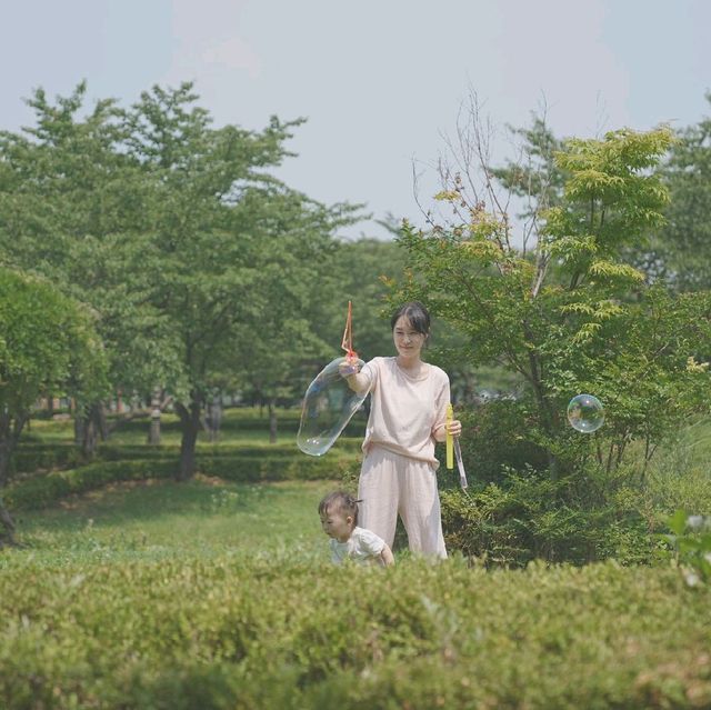 안산 가볼만한곳 * 피크닉하기 좋은 화랑유원지