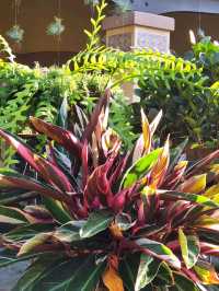 Bok Tower Gardens, Florida's hidden paradise