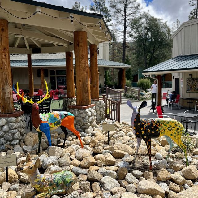 Getting wild in Idyllwild