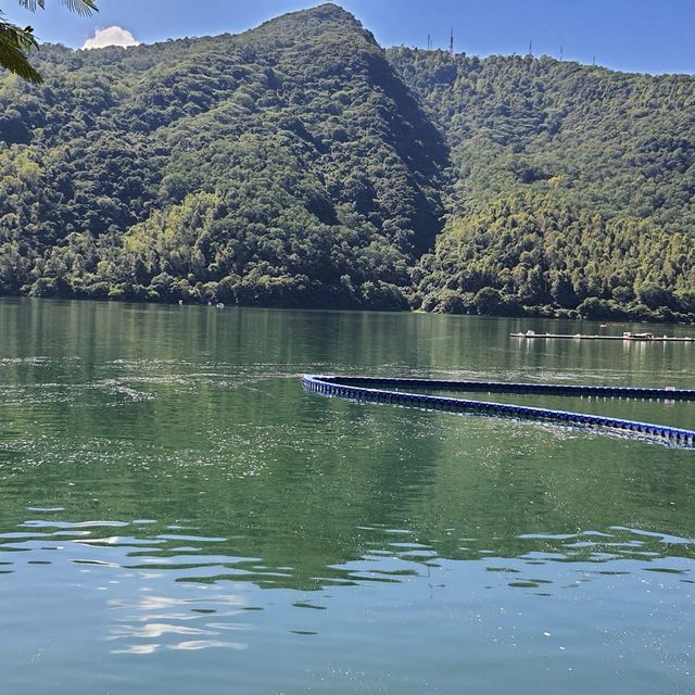 鯉魚潭