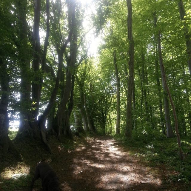 全球最快樂嘅國家之一 丹麥🇩🇰