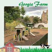 愛丁堡城市中的友好小農場Gorgie Farm