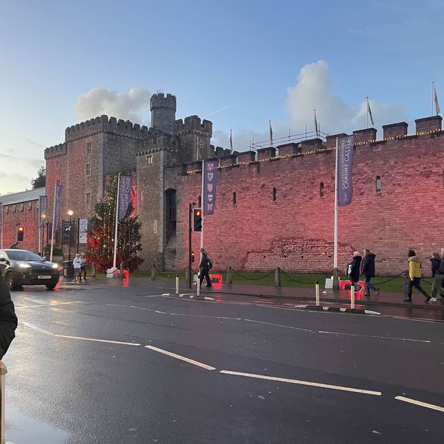 Rugby Tour to Cardiff, Wales