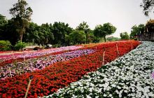 Fantasy Baihuazhou Garden