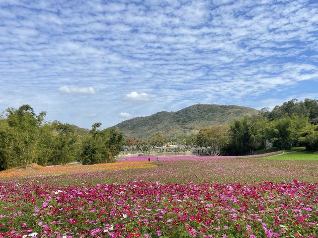 Sanya - Nanshan Cultural Park