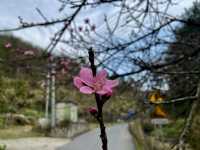 3D LuoYuan Village in Pujiang County