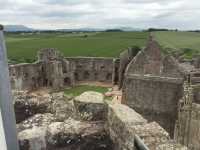 Dragons at Caerphilly Castle