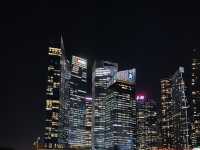 Light it up Singapore! Oh so colorful!