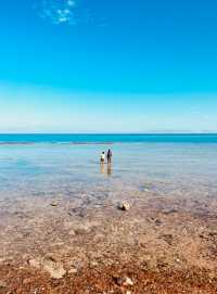 Egypt | Never expected to chill out in the most beautiful beach town in Africa.