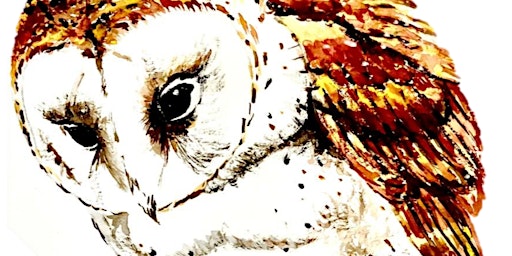 On The Wing - Richard Navarro live at St Peter's | St Peter's Anglican Church, Canterbury