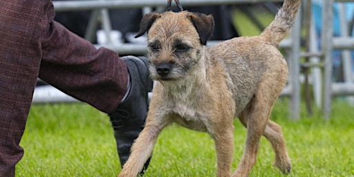 Border Union Golden Anniversary Championship Dog Show | Border Union Agricultural Society