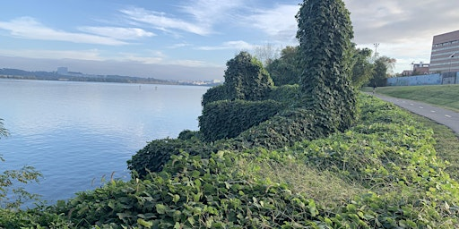 Invasive Kudzu Removal on the Mount Vernon Trail! | This is just a placeholder location, see eventbrite description for where to meet