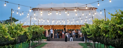 I Love Camp Lucy: 15-Year Celebration + Grape Stomp & Food Festival | Camp Lucy
