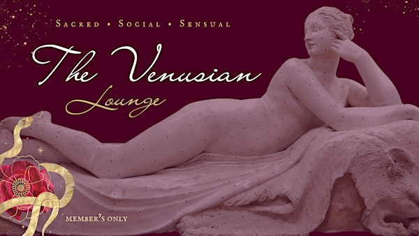 The Venusian Lounge | at the Little Red Day Spa | 3200 Airport Wy S