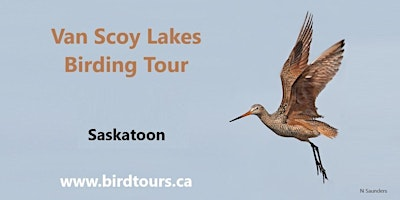 Van Scoy Lakes Birding Tour | Shoppers Drug Mart parking lot