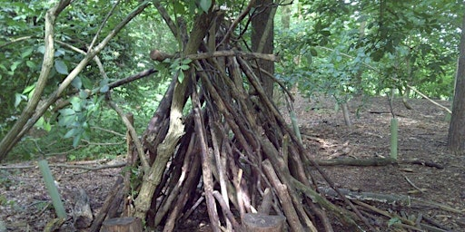 Hanningfield family forest fun: summer special | Hanningfield Reservoir Visitors Centre