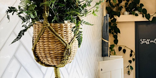 Macrame Plant Hanger Workshop at Number 85 Coffee & Kitchen, Cheltenham | Number 85 Coffee & Kitchen