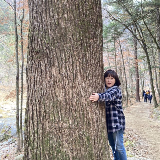 할로윈 데이에는 평창으로!