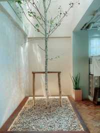 Transit No.8 คาเฟ่สไตล์ ญี่ปุ่น #เที่ยวทิพย์