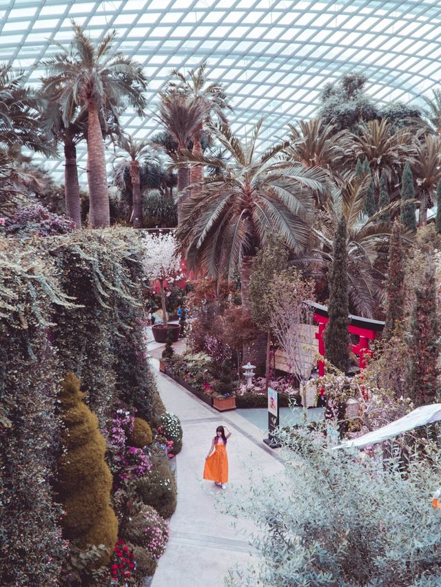 Gardens By the Bay